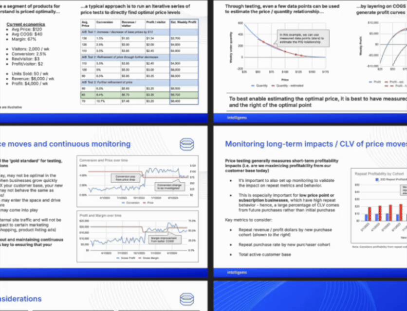 Profit Optimization and Price Testing 101 with Drew Marconi